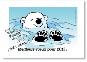 Meilleurs vœux pour 2013 !