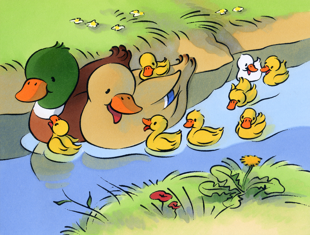 illustration jeunesse-les animaux de la ferme-Canards et poussins